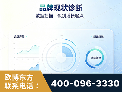 朔州-品牌现状诊断