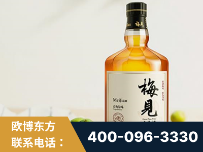 朔州-梅见青梅酒
